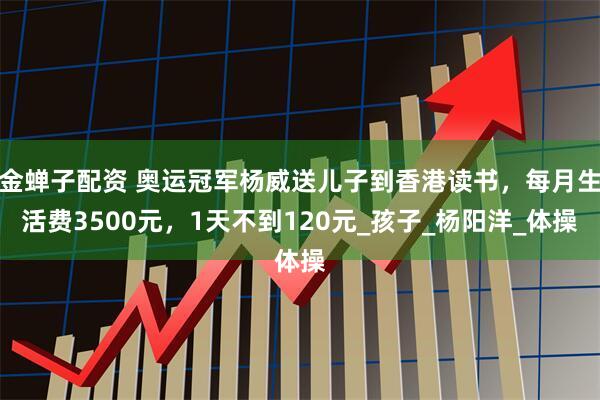 金蝉子配资 奥运冠军杨威送儿子到香港读书，每月生活费3500元，1天不到120元_孩子_杨阳洋_体操