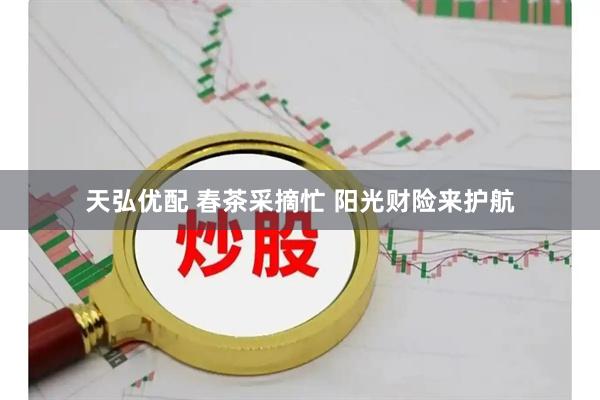 天弘优配 春茶采摘忙 阳光财险来护航