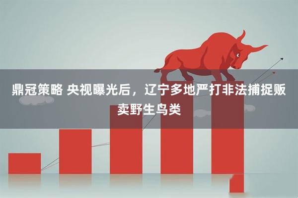 鼎冠策略 央视曝光后，辽宁多地严打非法捕捉贩卖野生鸟类