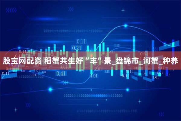 股宝网配资 稻蟹共生好“丰”景_盘锦市_河蟹_种养
