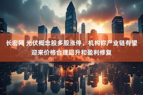 长宏网 光伏概念股多股涨停，机构称产业链有望迎来价格合理回升和盈利修复