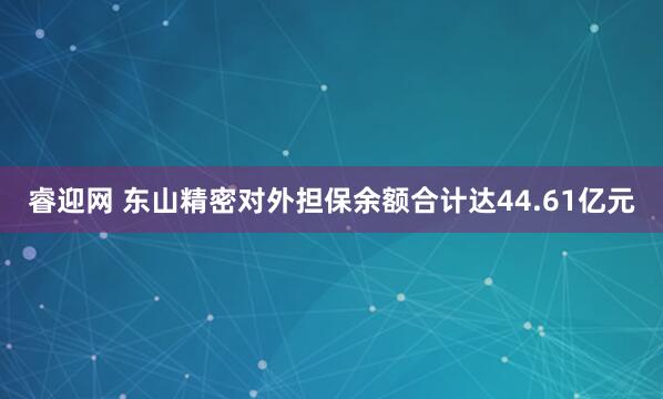 睿迎网 东山精密对外担保余额合计达44.61亿元