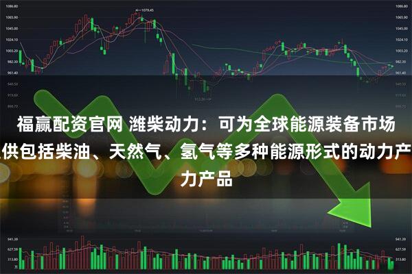 福赢配资官网 潍柴动力：可为全球能源装备市场提供包括柴油、天然气、氢气等多种能源形式的动力产品