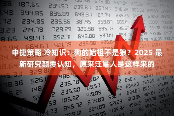 申捷策略 冷知识：狗的始祖不是狼？2025 最新研究颠覆认知，原来汪星人是这样来的